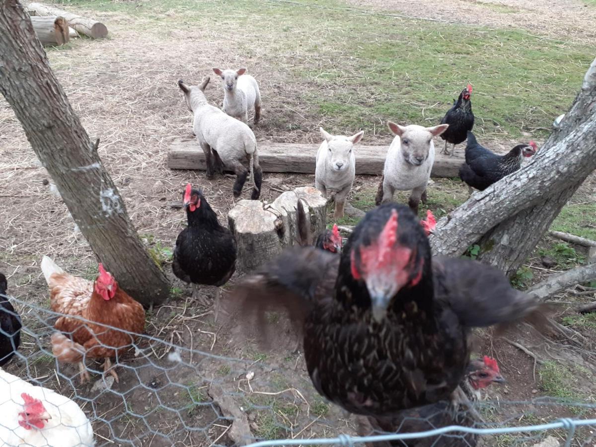 The Byre North End Farm Bed & Breakfast Ashton Keynes Dış mekan fotoğraf
